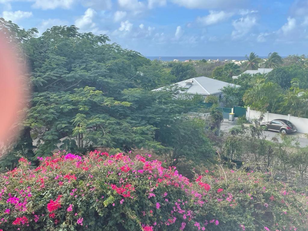 Villa Ste Marthe Avec Piscine, Grande Terrasse, Jardin Intime Et Citerne D'Eau سانت فرانسوا المظهر الخارجي الصورة