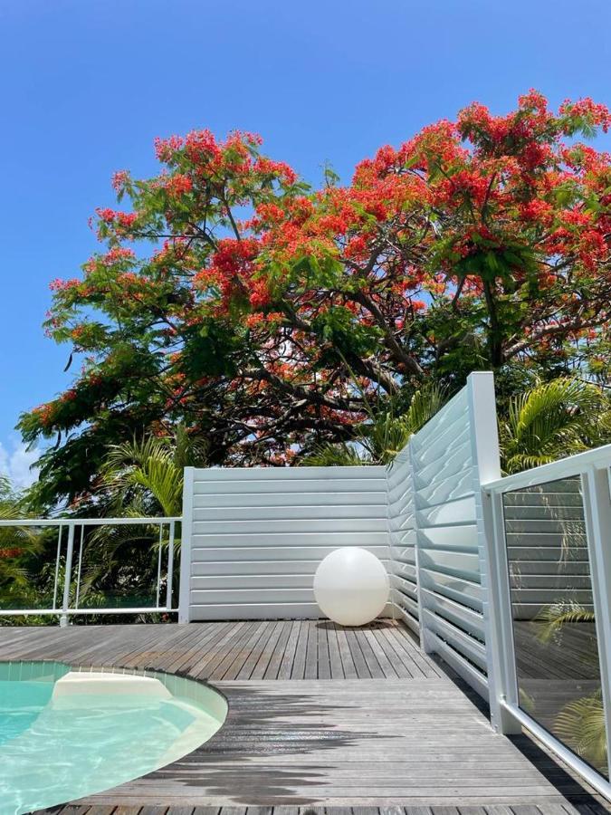 Villa Ste Marthe Avec Piscine, Grande Terrasse, Jardin Intime Et Citerne D'Eau سانت فرانسوا المظهر الخارجي الصورة